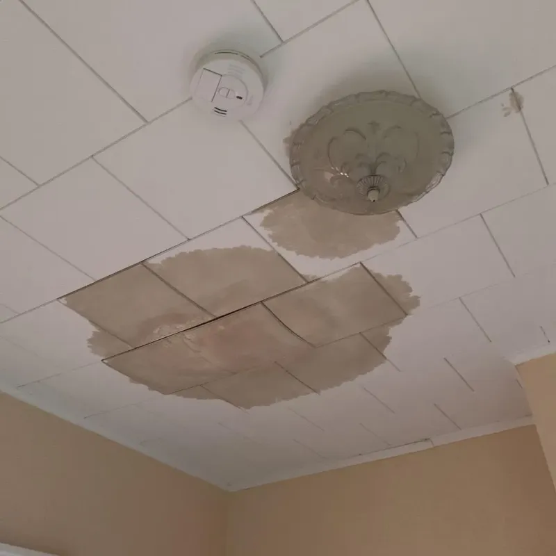 Ceiling Water Damage Repair in Minnewaukan, ND