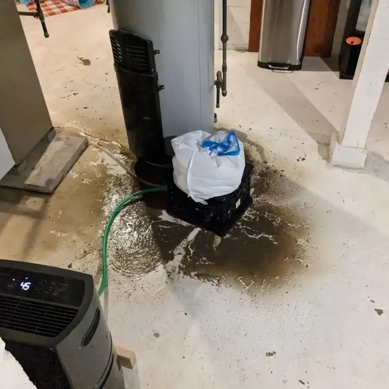 Sewage Backup Cleanup Service in Minnewaukan, ND